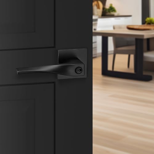 Modern Entry Door Handle Set - Sleek and Secure Design