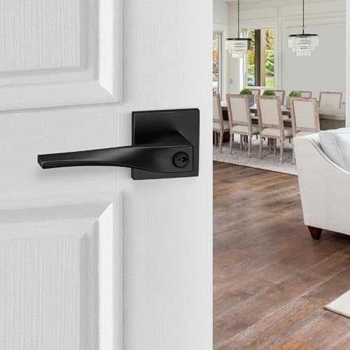 Modern Entry Door Handle Set - Sleek and Secure Design