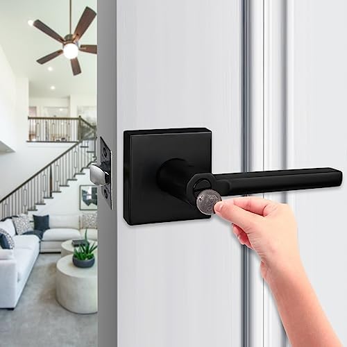 NEWBANGDouble Pack Door Lever Zinc Alloy Privacy Door Lock Handle