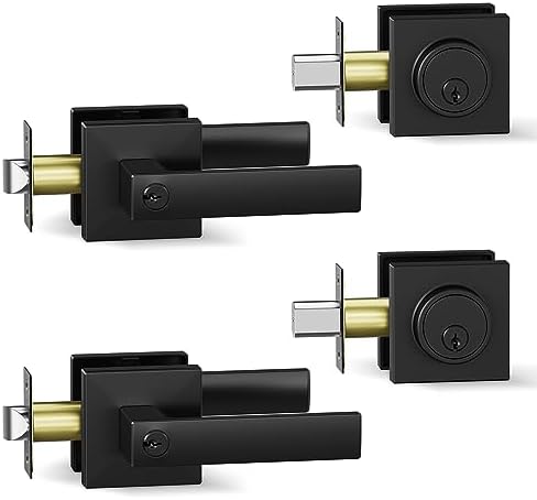 BAOLONG Modern Door Handle Set