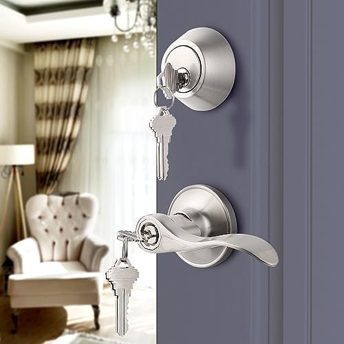 Probrico Entry Door Handle Set