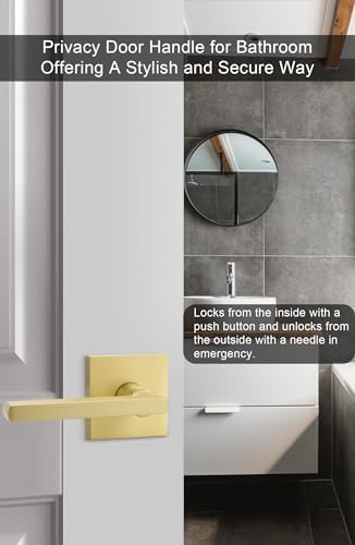 GoldenWarm Durable Privacy Door Handle for Home Use