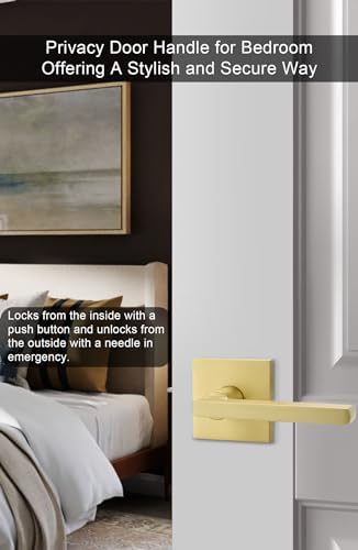 GoldenWarm Durable Privacy Door Handle for Home Use