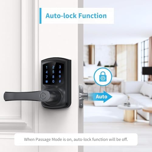 Signstek Keyless Entry Door Lock with Matte Black