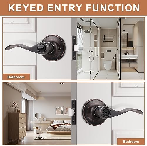 Probrico 1-Pack Entry Door Lever Set