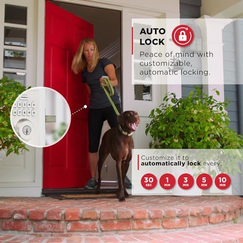 Secure Advanced Door Lock with Keyless Entry