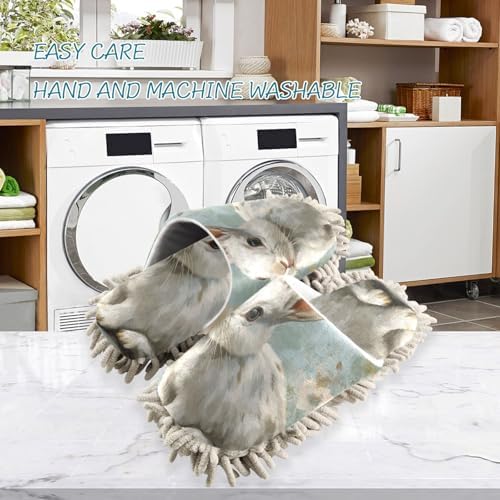 Perfect for Daily Cleaning